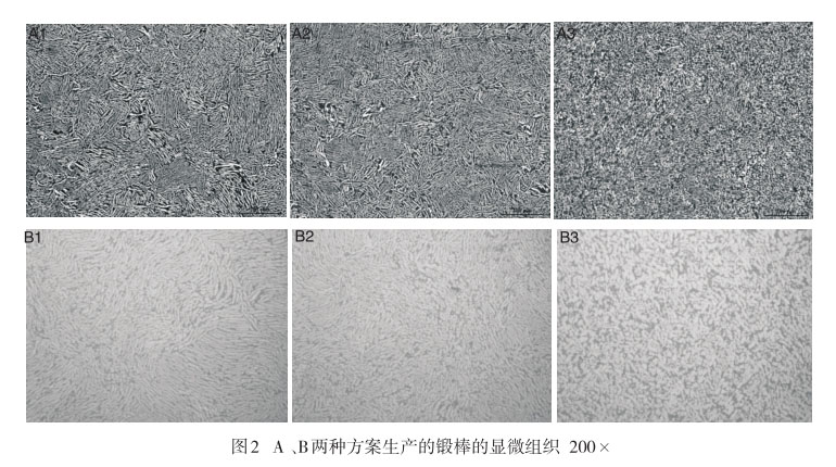 A 、B兩種方案生產(chǎn)的鍛棒的顯微組織